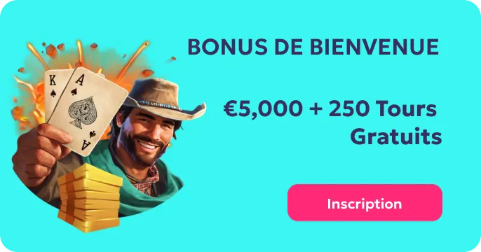 Wild Fortune Casino Interface